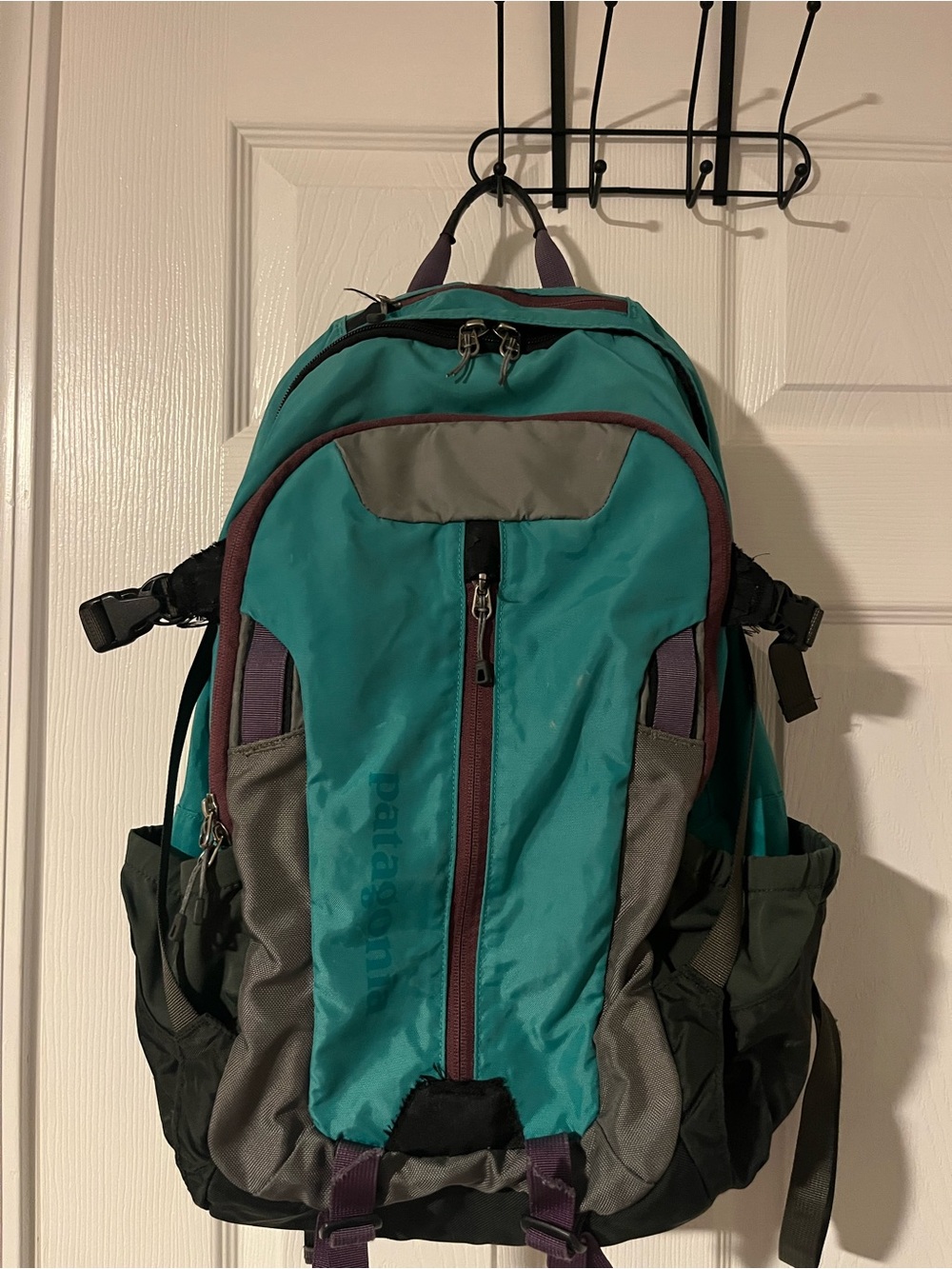 Patagonia Teal, Gray and Purple Men's Backpack